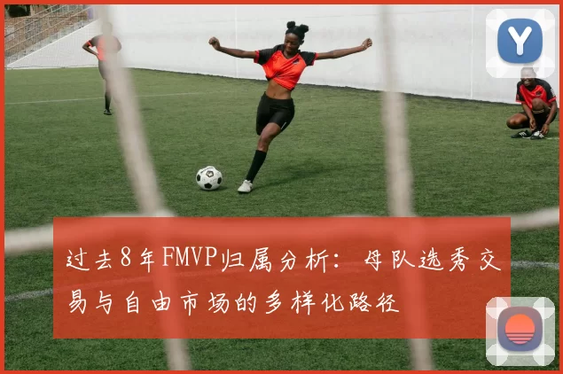 过去8年FMVP归属分析：母队选秀交易与自由市场的多样化路径