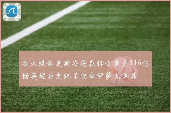 各大媒体更新安德森转会费至116亿镑英超历史纪录仍由伊萨克保持