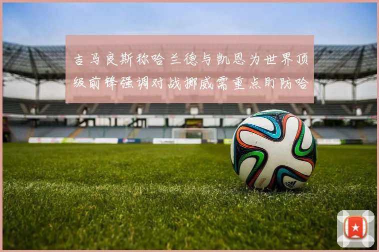 吉马良斯称哈兰德与凯恩为世界顶级前锋强调对战挪威需重点盯防哈兰德