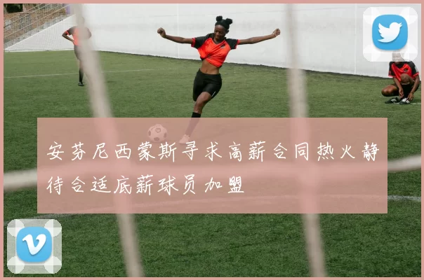 安芬尼西蒙斯寻求高薪合同热火静待合适底薪球员加盟